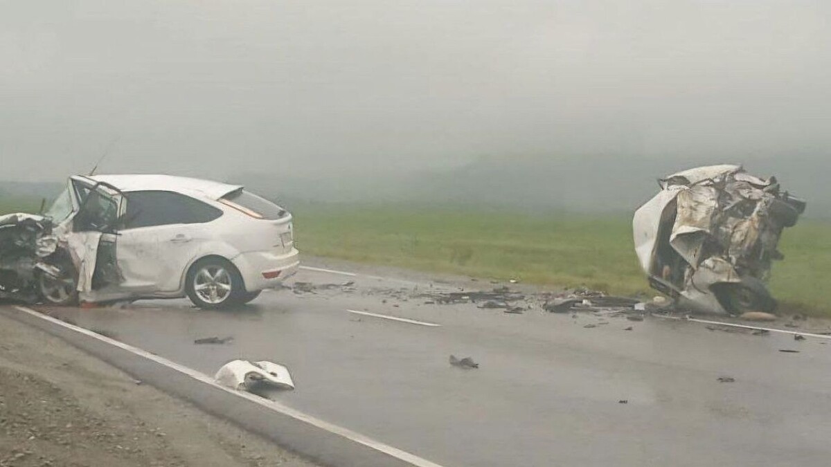    Фото: t.me/mvd_23