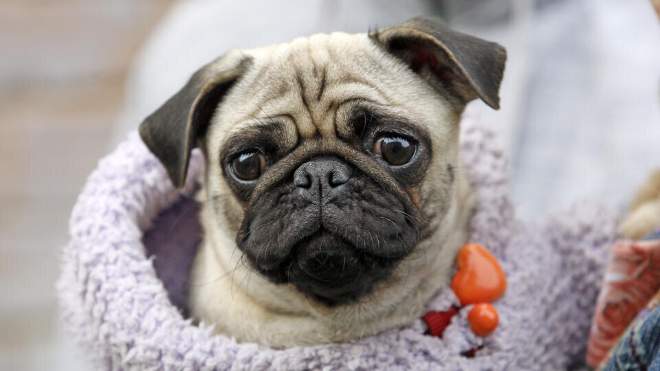 Фото: © Zuma\TASS