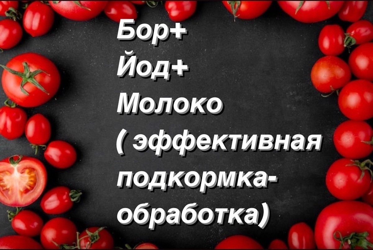 Зацветает смородина, вишни, сливы, а кто высадил томаты пару недель назад, то и для томатов тоже!
За эту подкормку скажут спасибо все плодоносящие и цветущие тоже!
Это очень эффективная и , что не маловажно, дешёвая подкормка.
Борную кислоту берём из расчёта 1 гр на 1 литр. Я беру из расчёта на ведро( поскольку порошок борной кислоты чаще всего продаётся по 10 грамм). Предварительно в очень горячей воде разводим бор и далее добавляем его в ведро, а так же добавляем 50-60 капель йода и любую молочку, примерно 1 литр ( молоко, кефир, сыворотка…)
Поскольку это хим состав, то сюда можно добавить различные гуматы и сульфаты( цинка, железа), 2-3 ингредиента ( продаются в маленьком объёме в Леруа), но это и не обязательно, поскольку основные ингредиенты - это бор, молочка и йод. И этим составом обрабатываем ПО ЛИСТУ всё! И томаты и огурцы и цветы и плодовые кустарники и даже деревья.
Томаты и огурцы 1 раз в 10 дней👍
И не забываем, что все обработки проводим в пастмурную погоду или вечером, в отсутствии солнца!!
Такая подкормка- обработка ускоряет цветение, улучшает завязываемость плодов, стимулирует их созревание, а так же предотвращает появление фитофторы, а при её появлении на начальных стадиях, помогает победить этот очень распространённый недуг томатов…