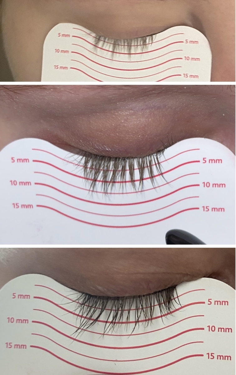 Мои результаты за 3 месяца 