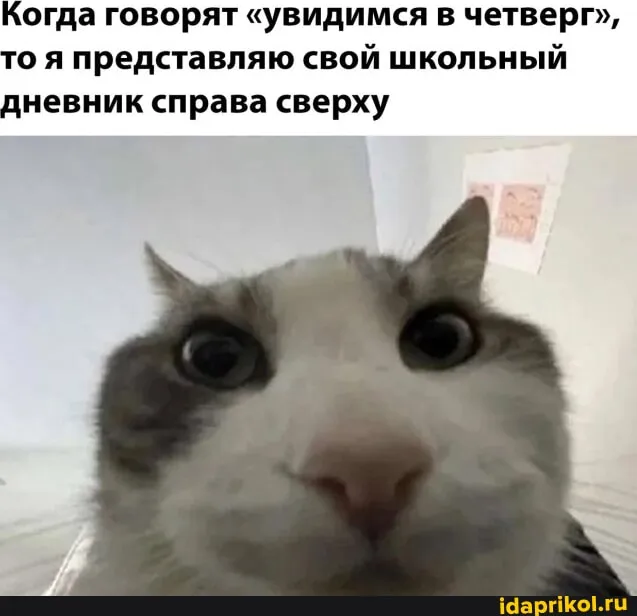 а вы тоже до сих пор представляете дневник, когда говорят про дни недели?)