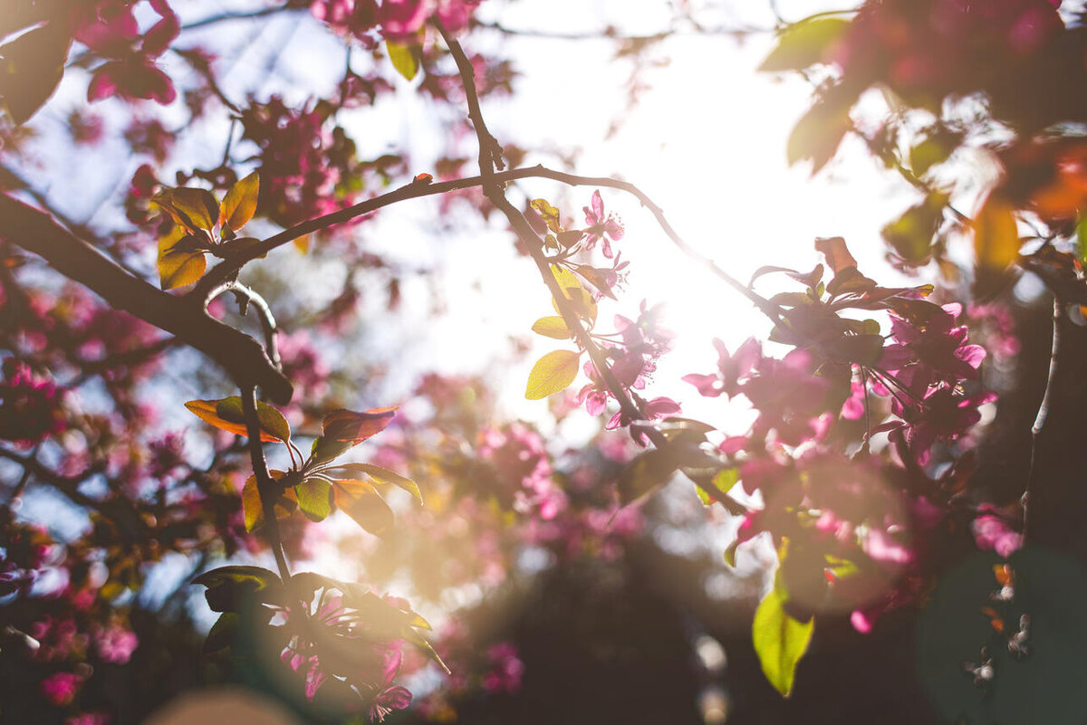    Погода 123RF/legion-media.ru