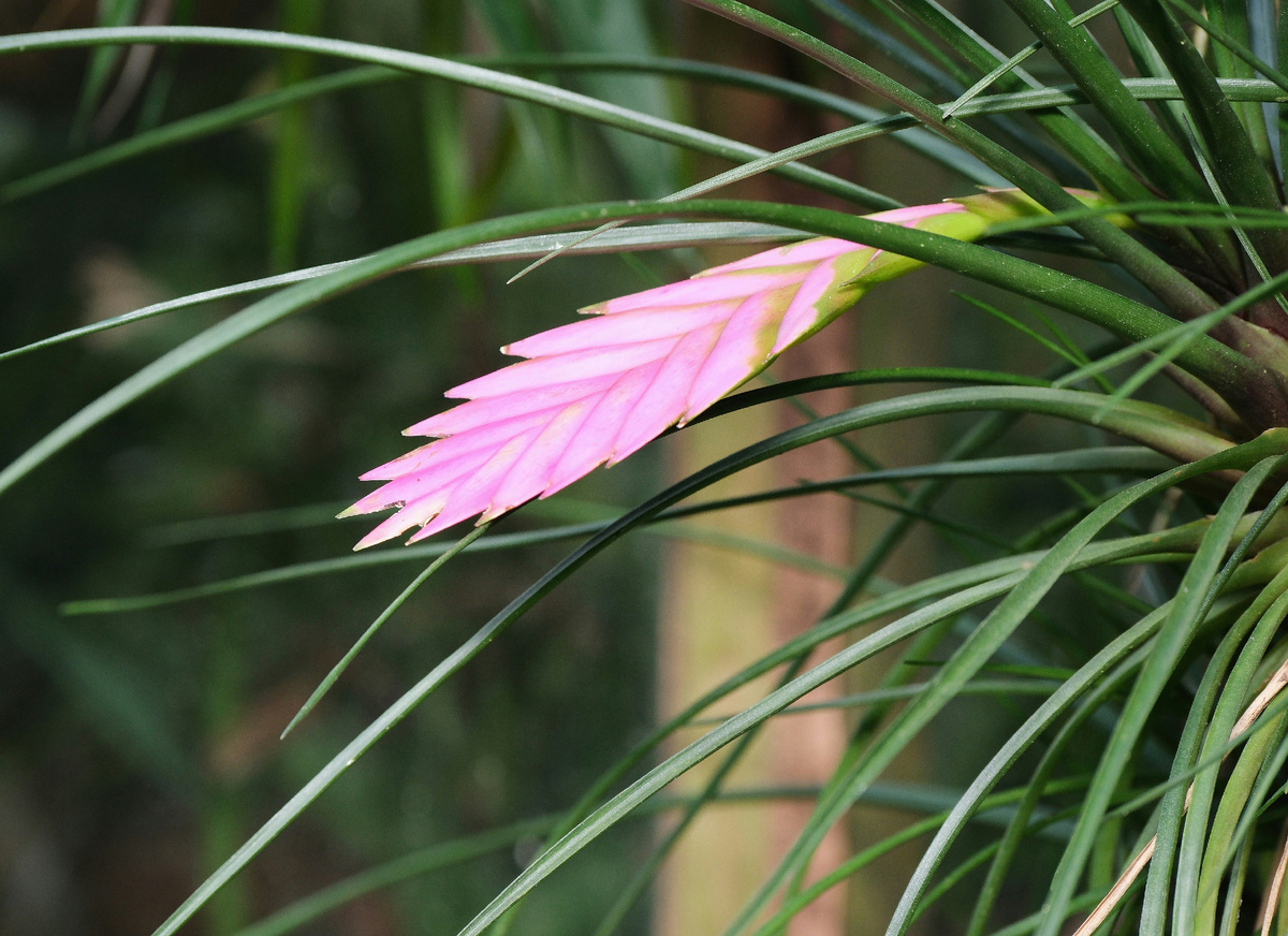 Картинка с бесплатного фотостока https://unsplash.com, автор Dmitrii E.