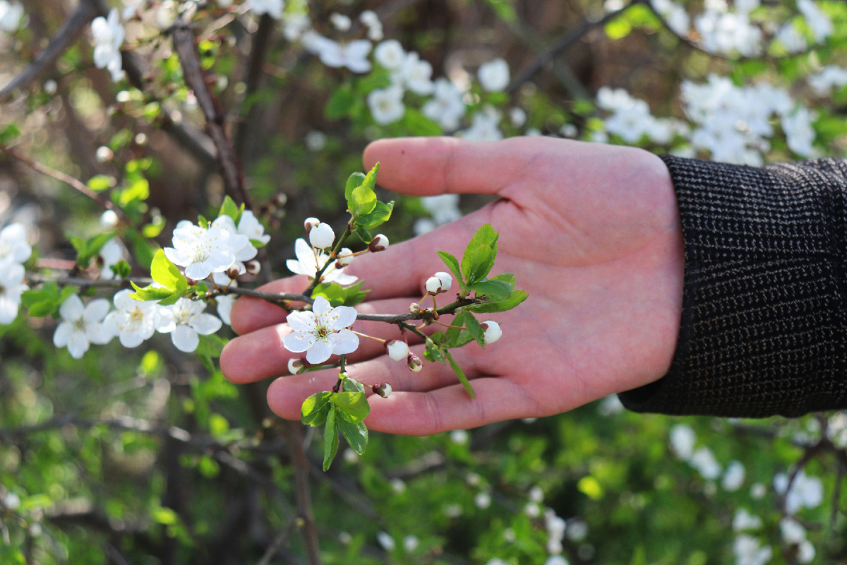 Картинка с бесплатного фотостока https://unsplash.com, автор Stasia Spark