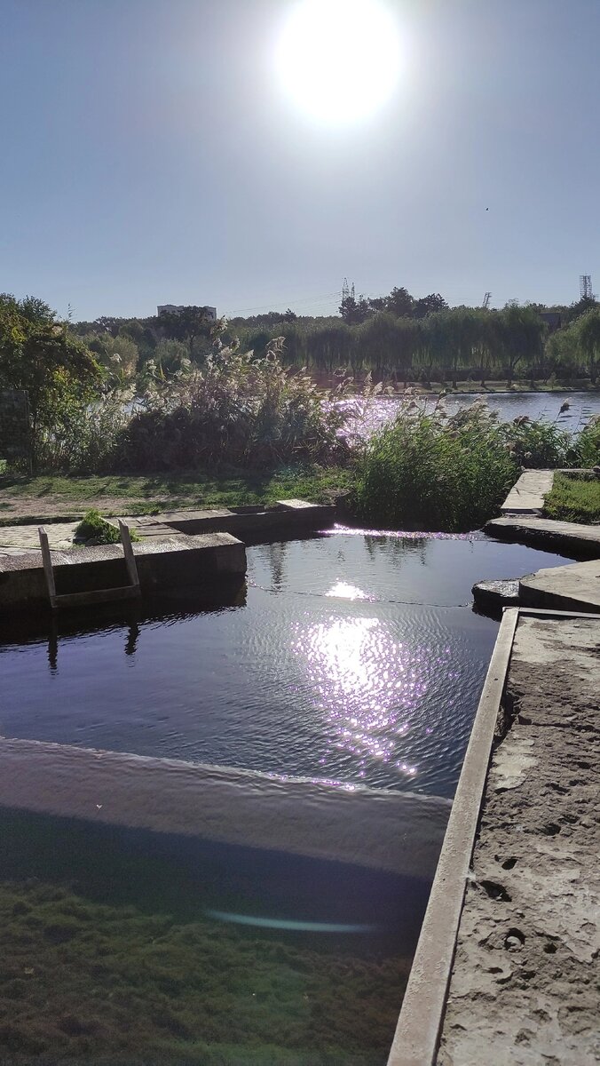 Виды в районе купели родника возле моста по пр. Космонавтов