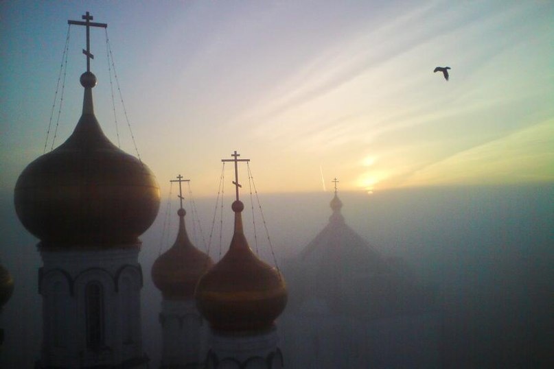 Позаимствовано с Яндекс каритинки