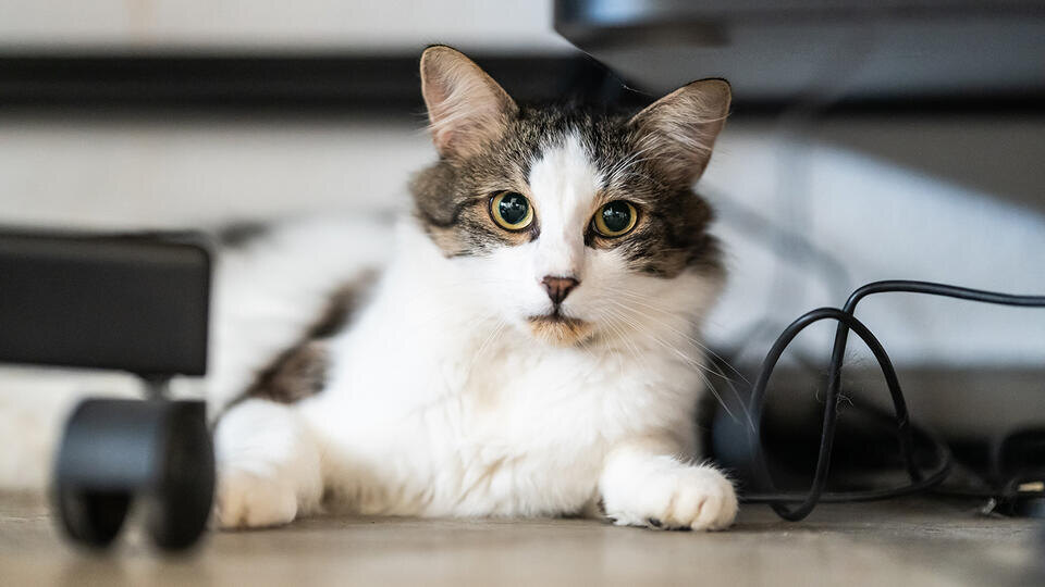 Фото: © www.globallookpress.com/Silas Stein/dpa