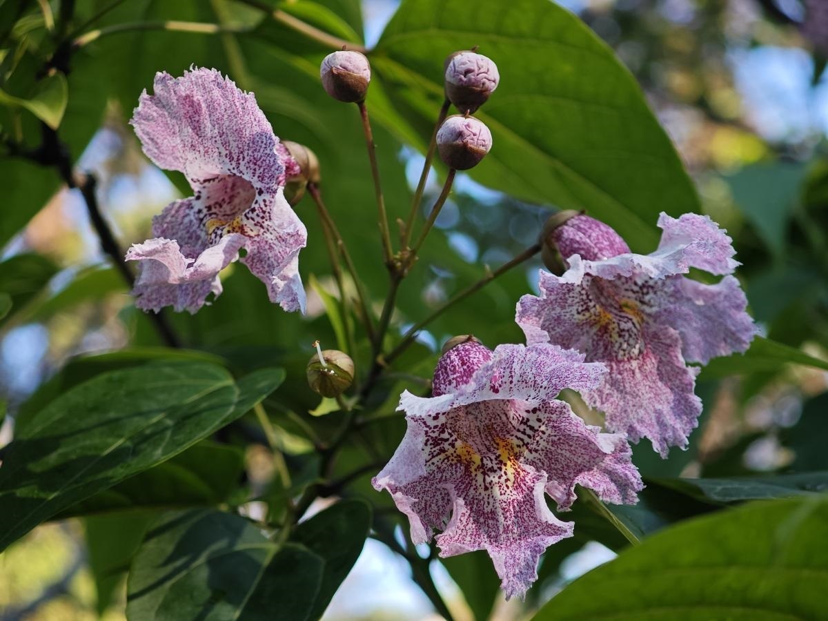 Фото: npsochi.ru