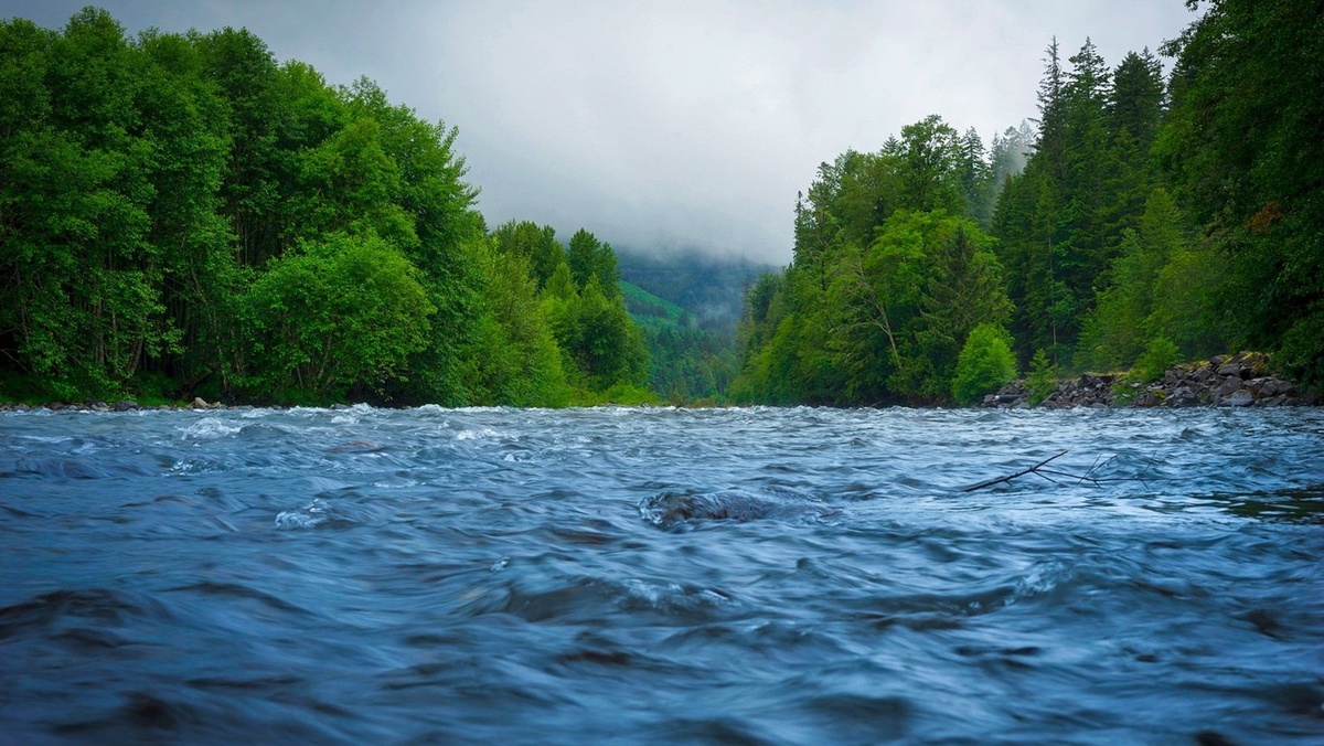 Фото: Telegram/Министерства гражданской обороны и чрезвычайных ситуаций Краснодарского края.  📷
