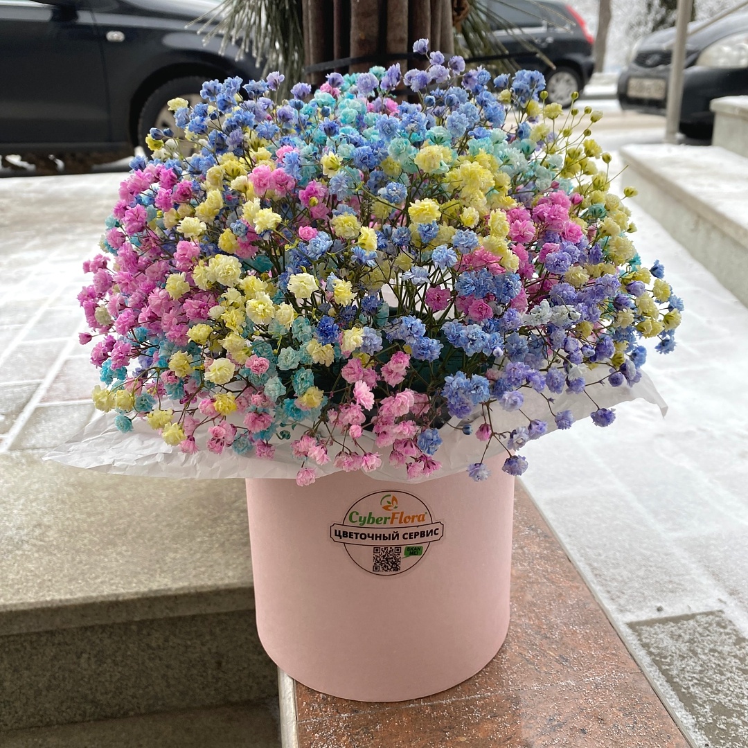 Источник с сайта: https://cyber-flora.ru/