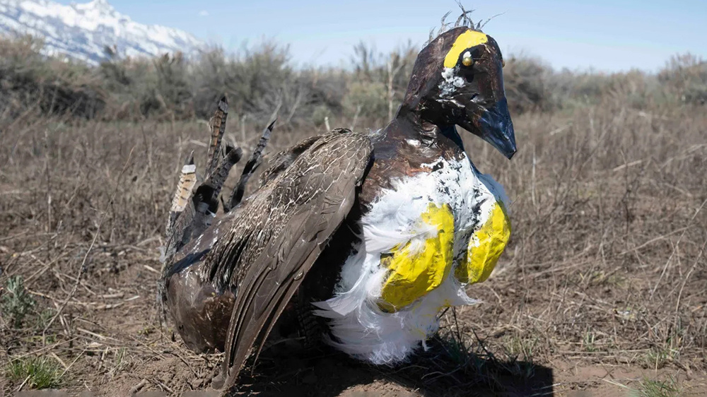     Фото: National Park Service