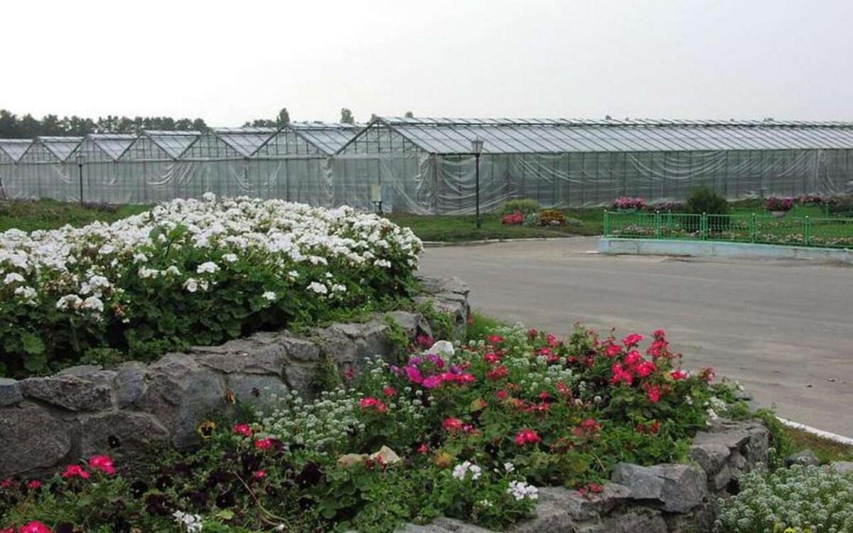    Торги по продаже Воронежского тепличного комбината за 2 млрд рублей провалились Фотография с сайта комбината