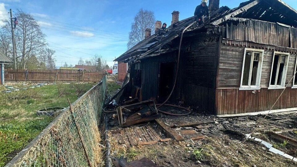     Источник: Госкомитет Карелии по ОЖ и БН