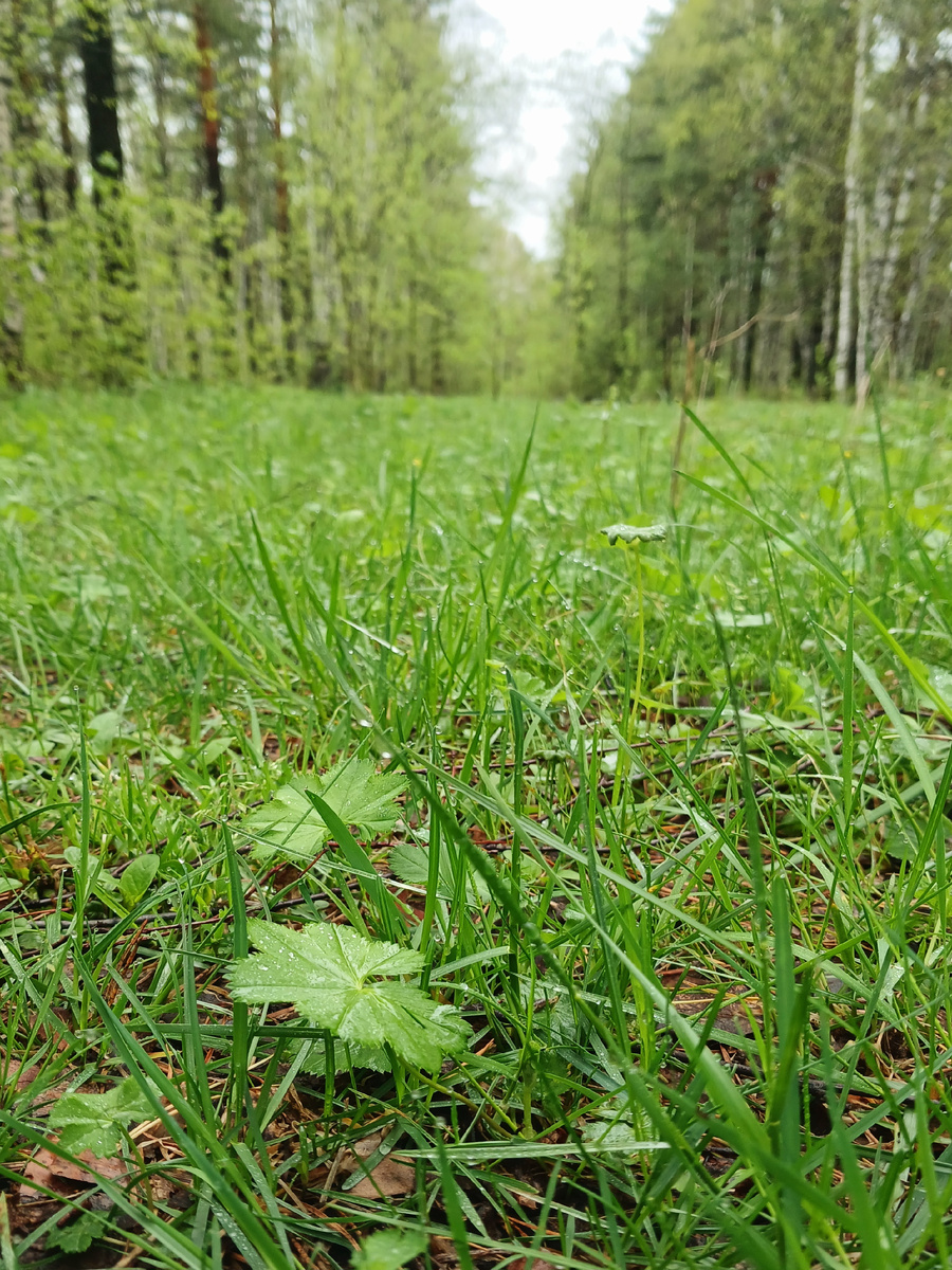 "Доброе утро, мир! Ты прекрасен!" Фото автора