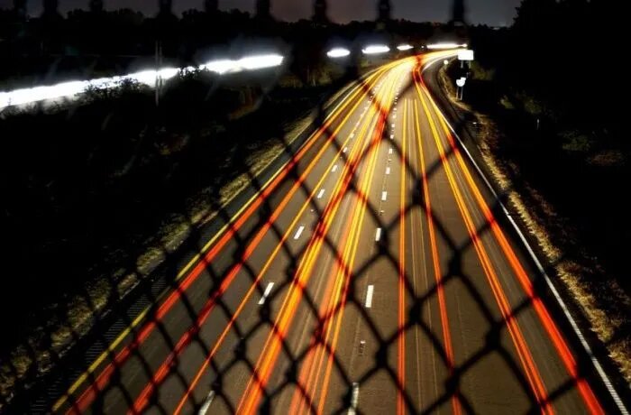 Фото: freepik.com/