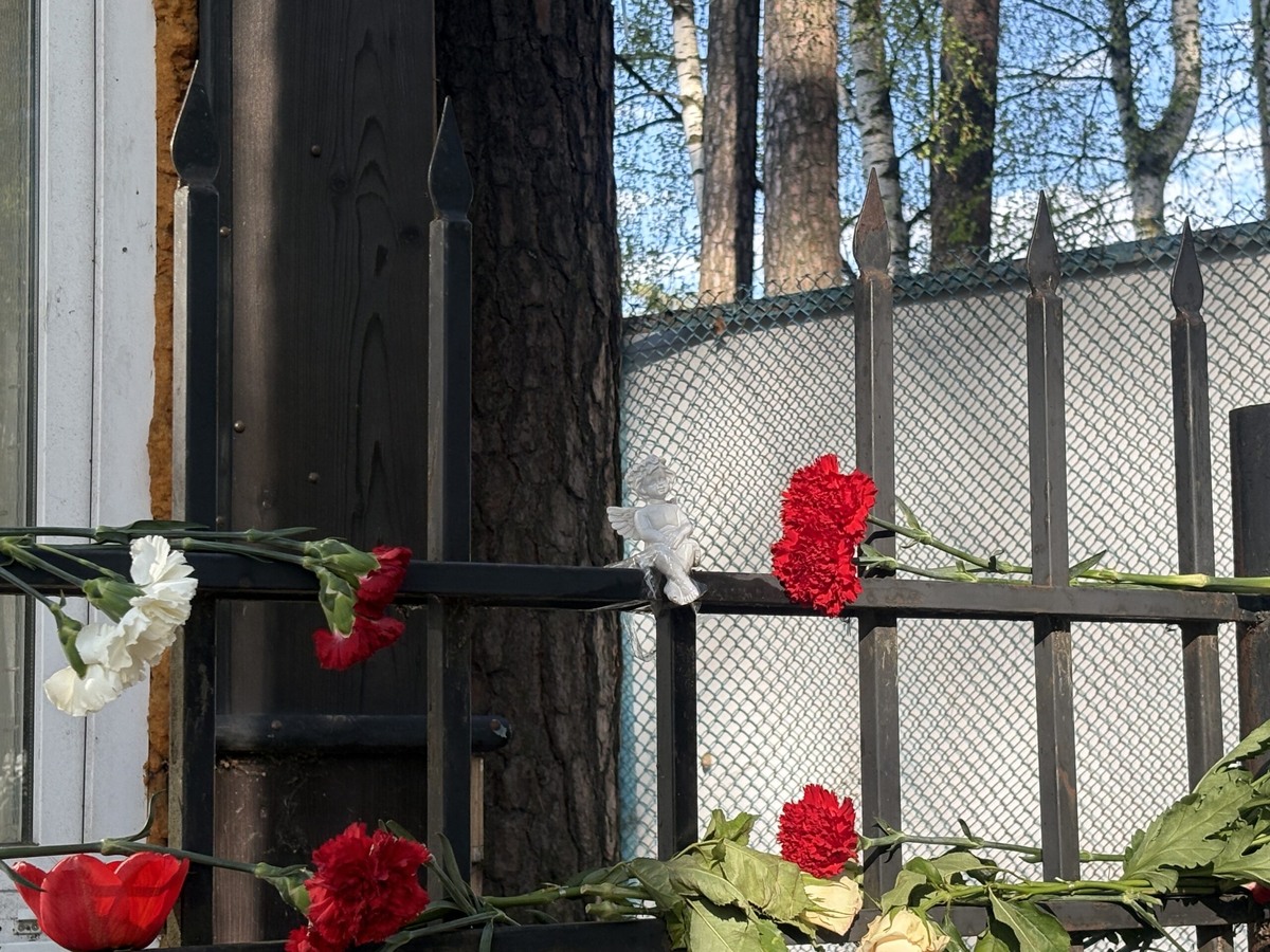    Фото: В курсе.ру Полина Анкушина