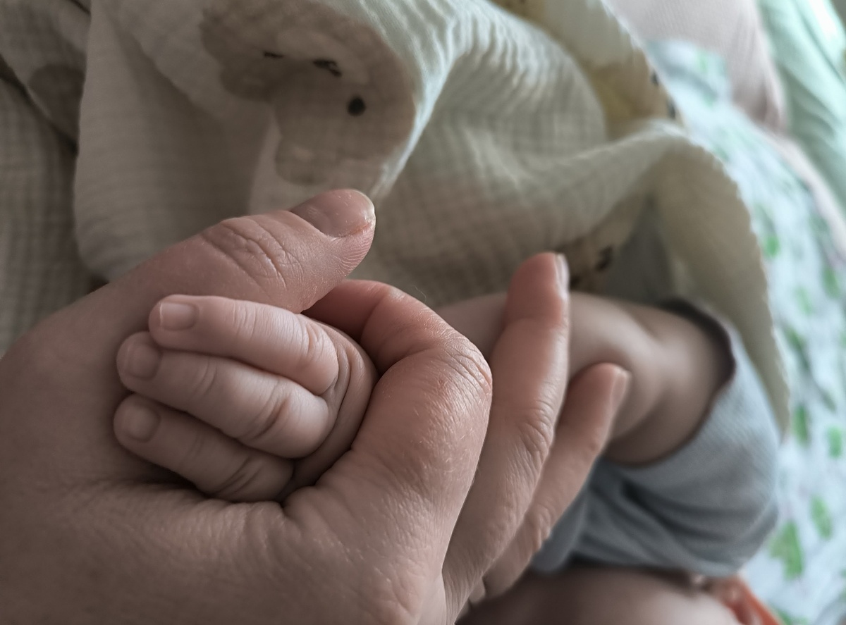 Все фотографии и коллажи в статье авторские