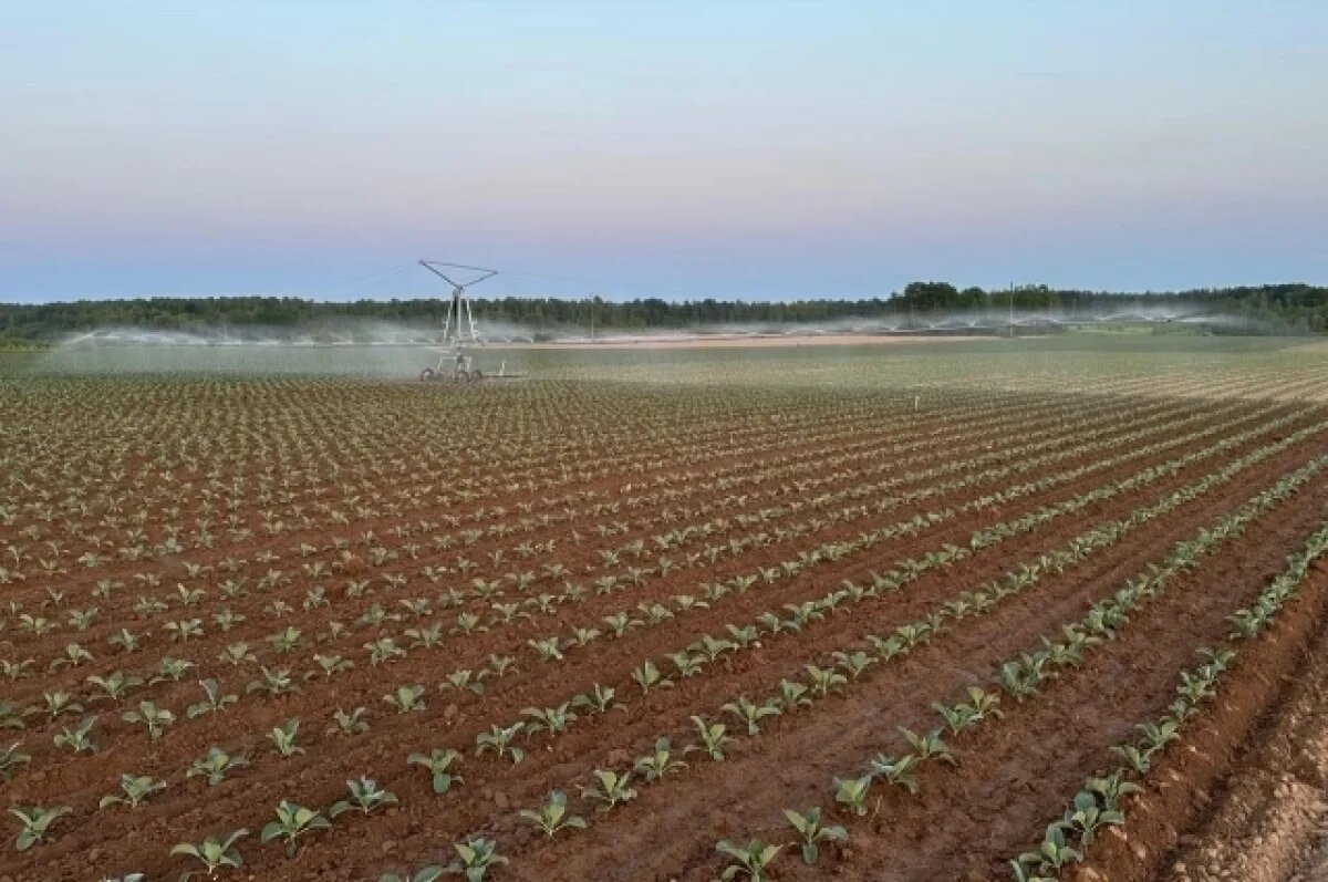    В Тверской области в оборот возвратили более 388 га сельхозземель