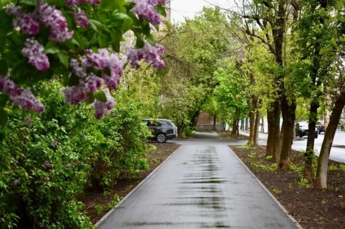   На улице Павлова в Рязани завершаются работы по ремонту дорожного полотна