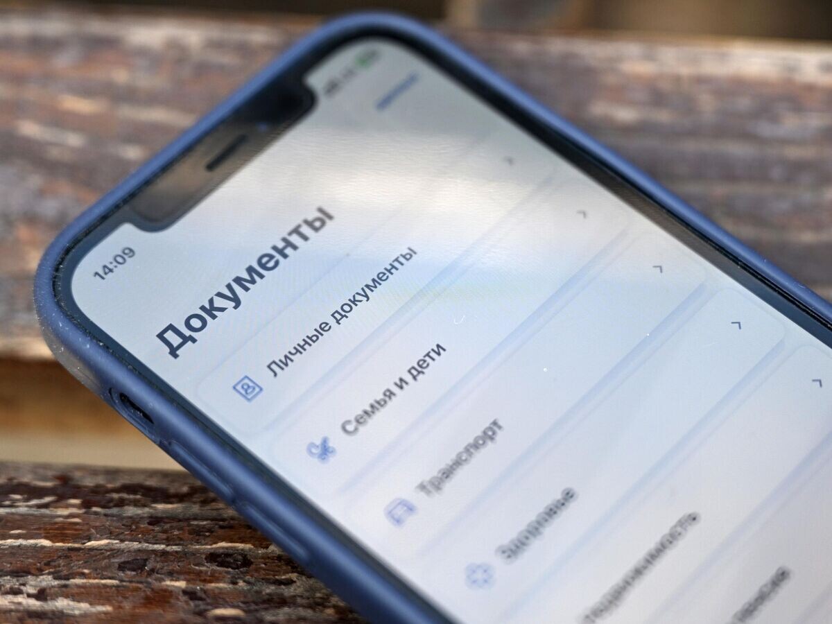    Приложение Госуслуги на экране смартфона© РИА Новости / Павел Бедняков