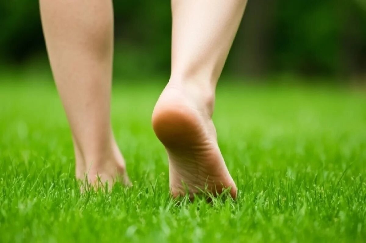    BJSM: регулярная ходьба существенно снижает риск развития онкологии