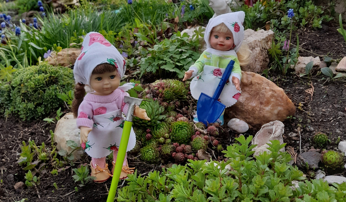 Фото автора канала