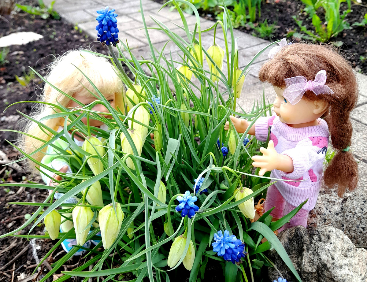 Фото автора канала