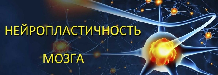 Фото из общего доступа