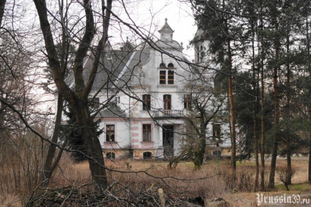   Фото: Prussia39.ru