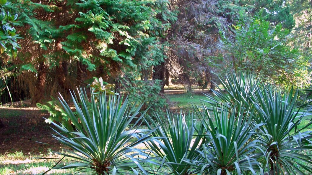    George Zakharchuk/Russian Look/Globallookpress