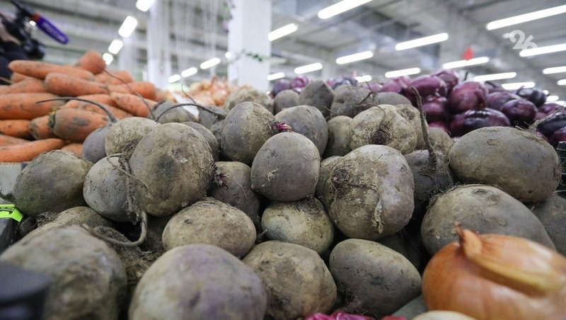      Фото: Дмитрий Ахмадуллин / / ИА «Победа26»