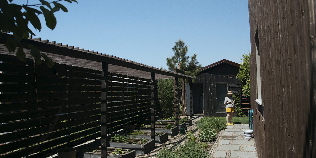 А что такое беспахотное земледелие в масштабах участка?
