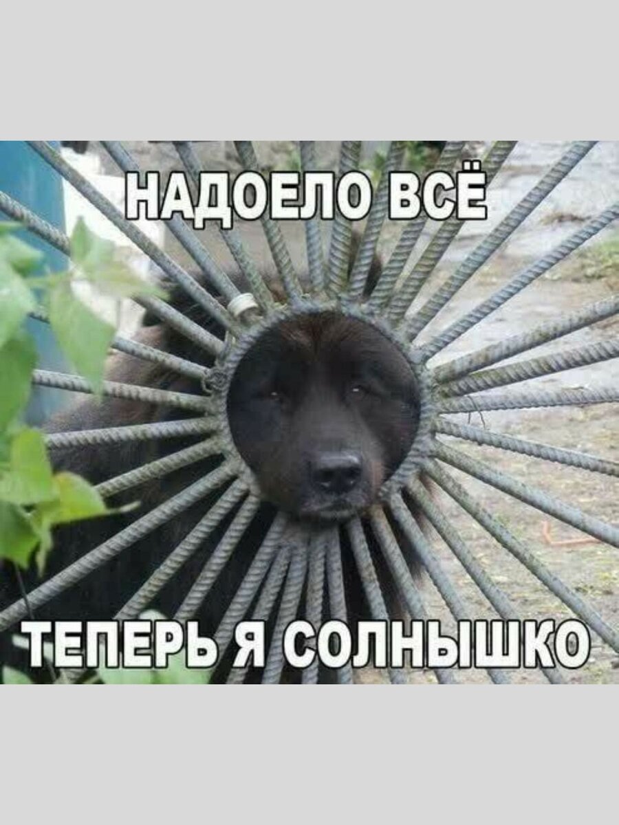 -3
