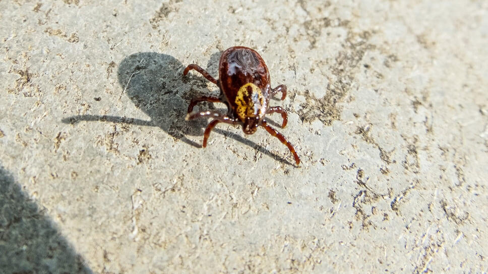 Фото: Игорь Елисеев / Коммерсантъ