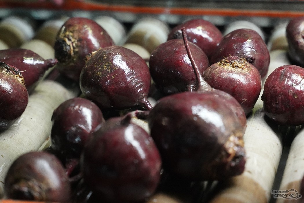    Фото: Лидия Аникина © ИА "Уральский меридиан"