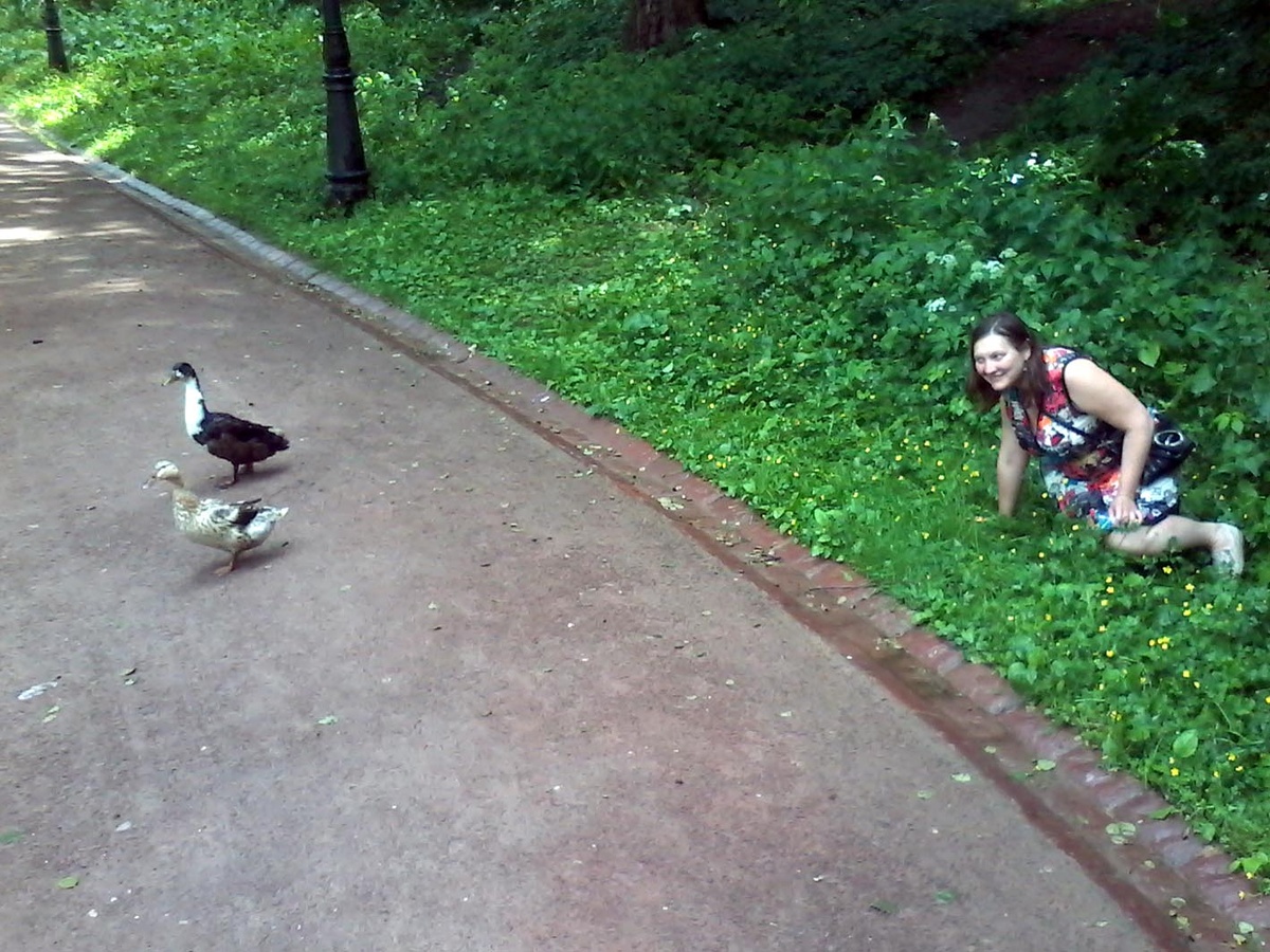 Царицыно. Я охочусь на уток