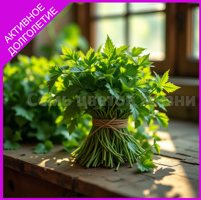 Свежесобранная молодая крапива на деревянном столе, связанная пучком, в лучах утреннего солнца — символ заботы о себе и природе.