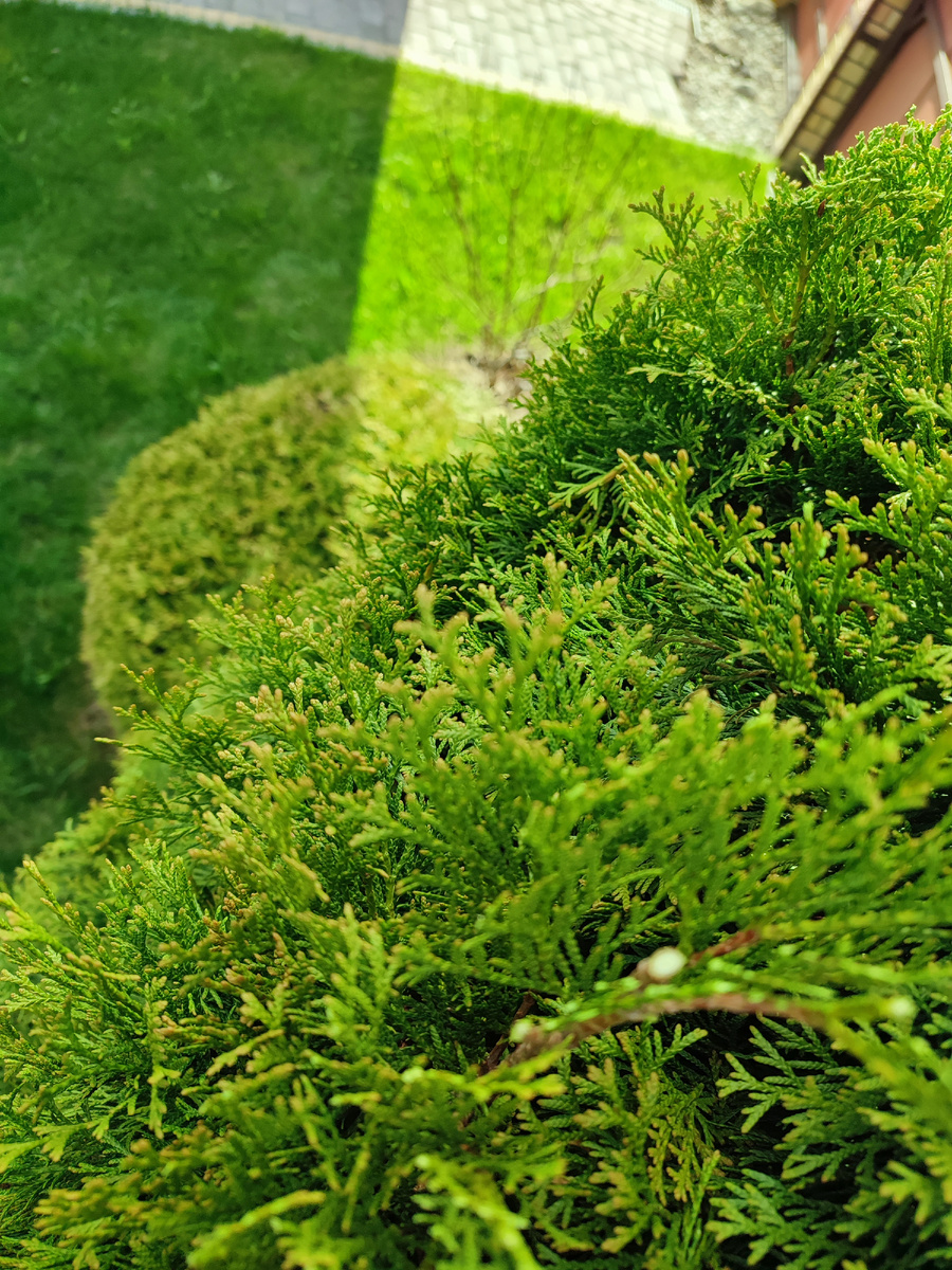 Свет/тень вид сверху. Да, с телефоном. Разговаривала с другим клиентом, держась за воздух зубами. Я и руководитель, я и менеджер, я и бухгалтер, я и рабочий, я всё! Самозанятая))) 