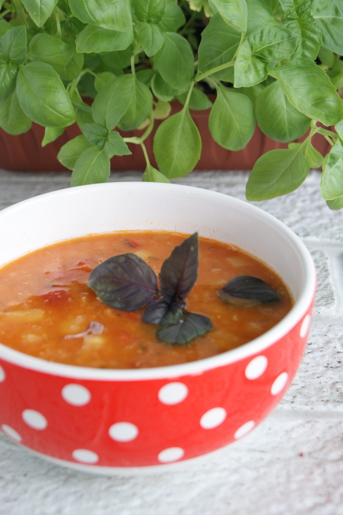 Фото автора. Суп с чечевицей.