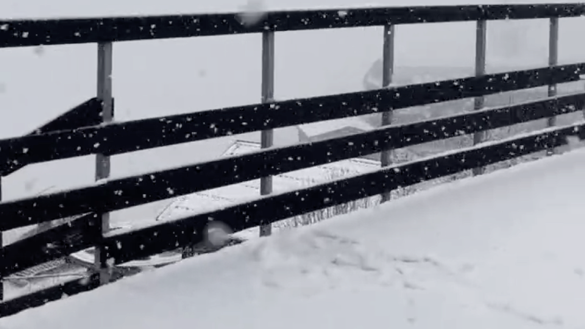    Фото: t.me/kp_resort