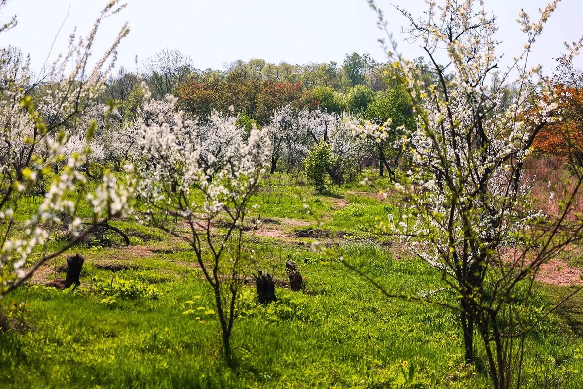    Фото: primamedia.ru Оливия Ильинская