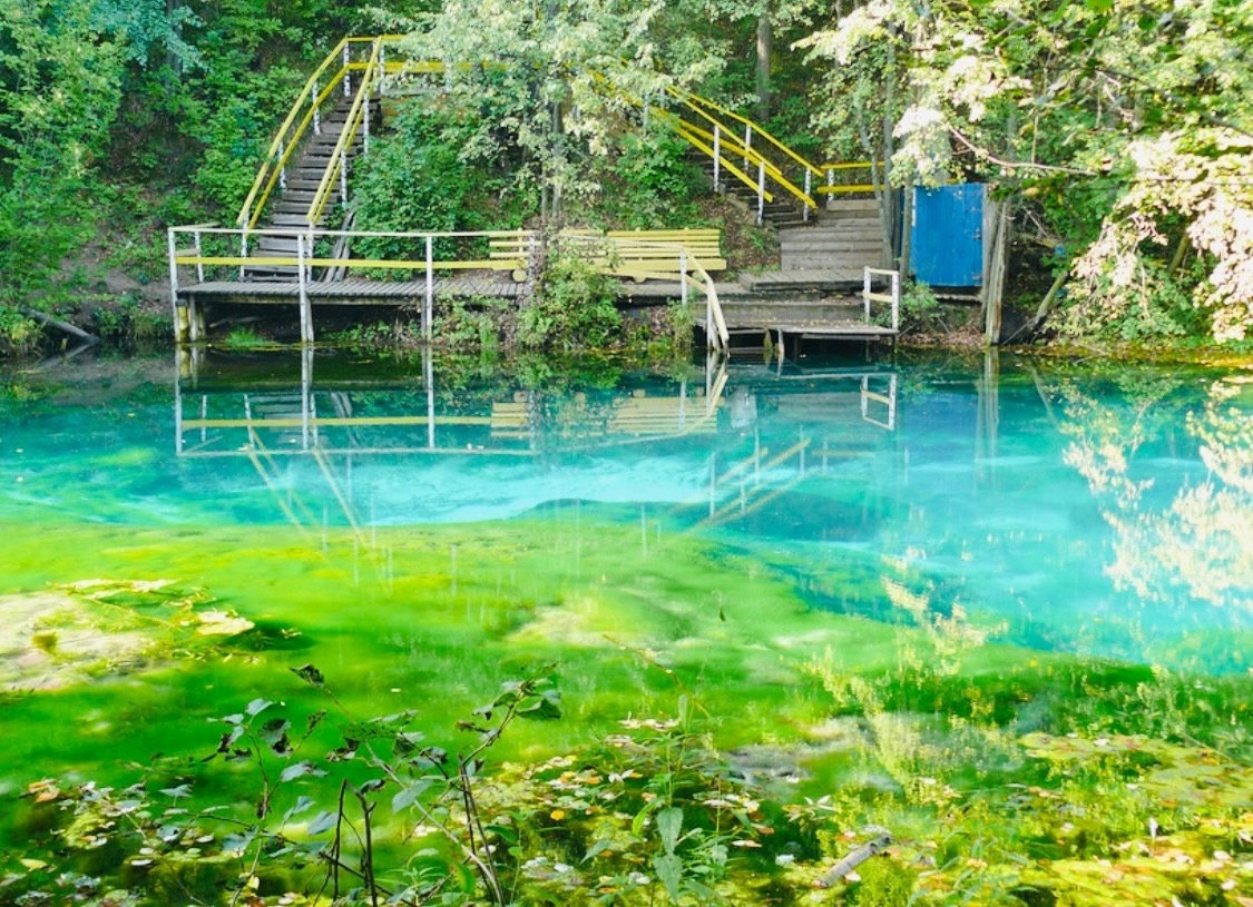 Озёра обладают целым «багажом» полезных веществ