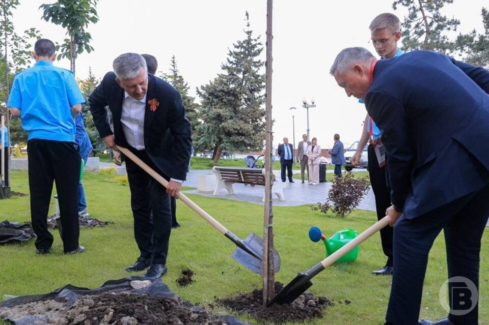    фото: Дмитрий Рогулин / "Городские вести"