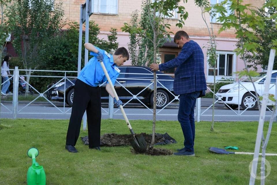    фото: Дмитрий Рогулин / "Городские вести"