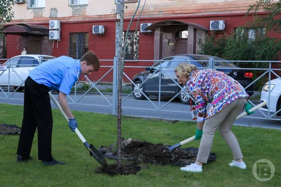    фото: Дмитрий Рогулин / "Городские вести"