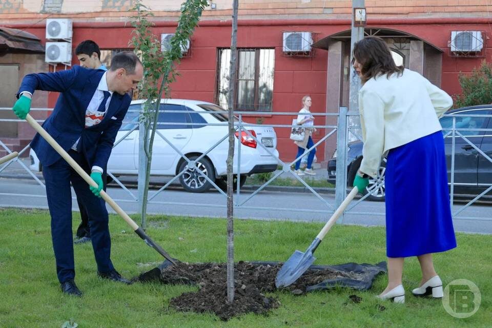    фото: Дмитрий Рогулин / "Городские вести"