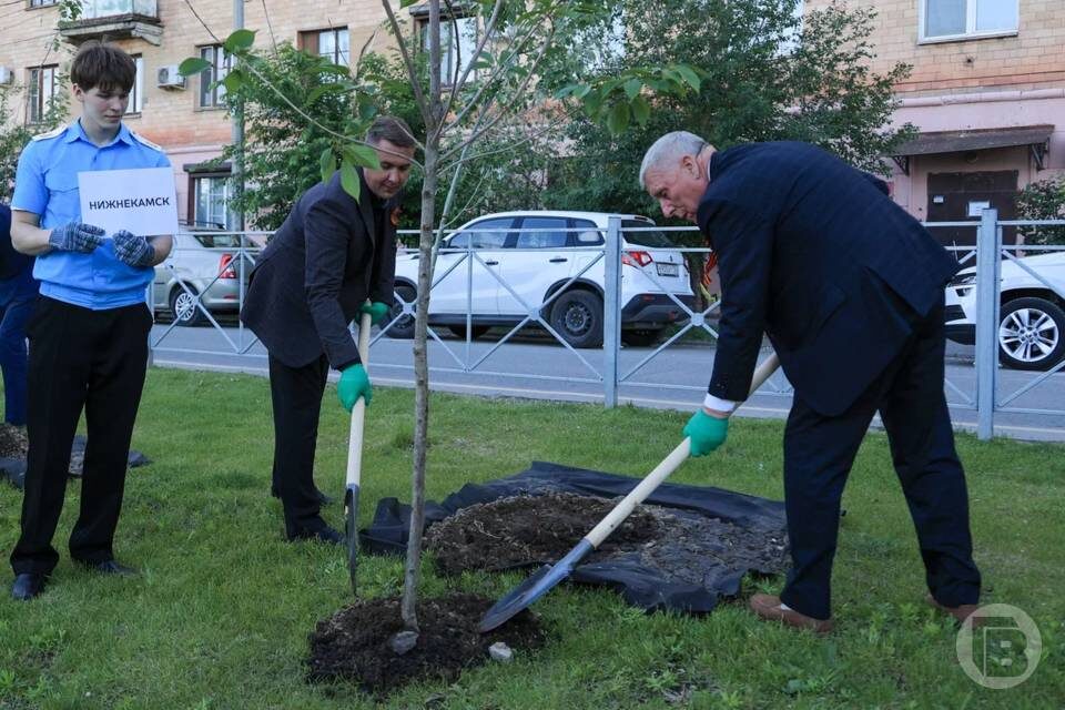    фото: Дмитрий Рогулин / "Городские вести"