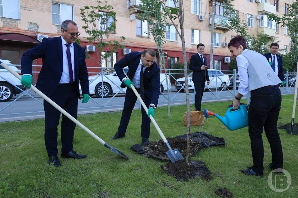    фото: Дмитрий Рогулин / "Городские вести"