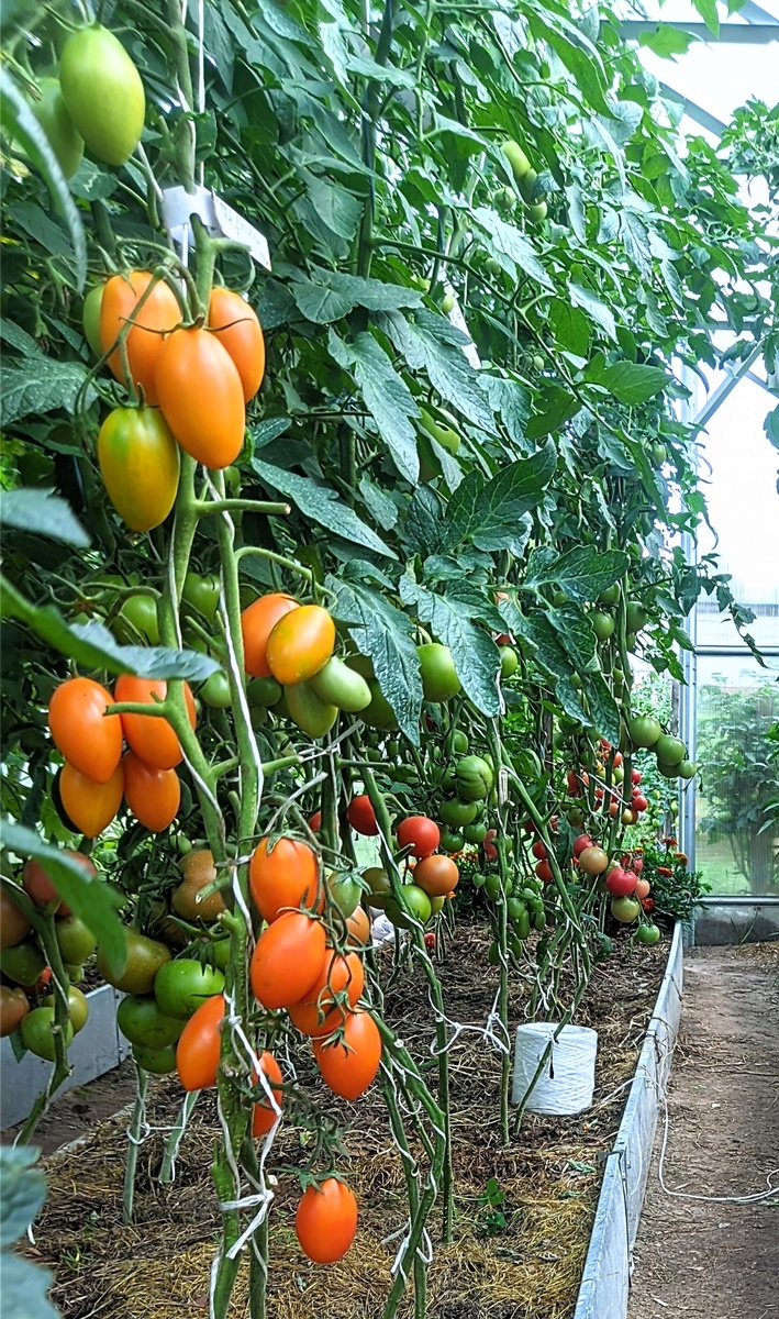 Здесь и далее фото автора 