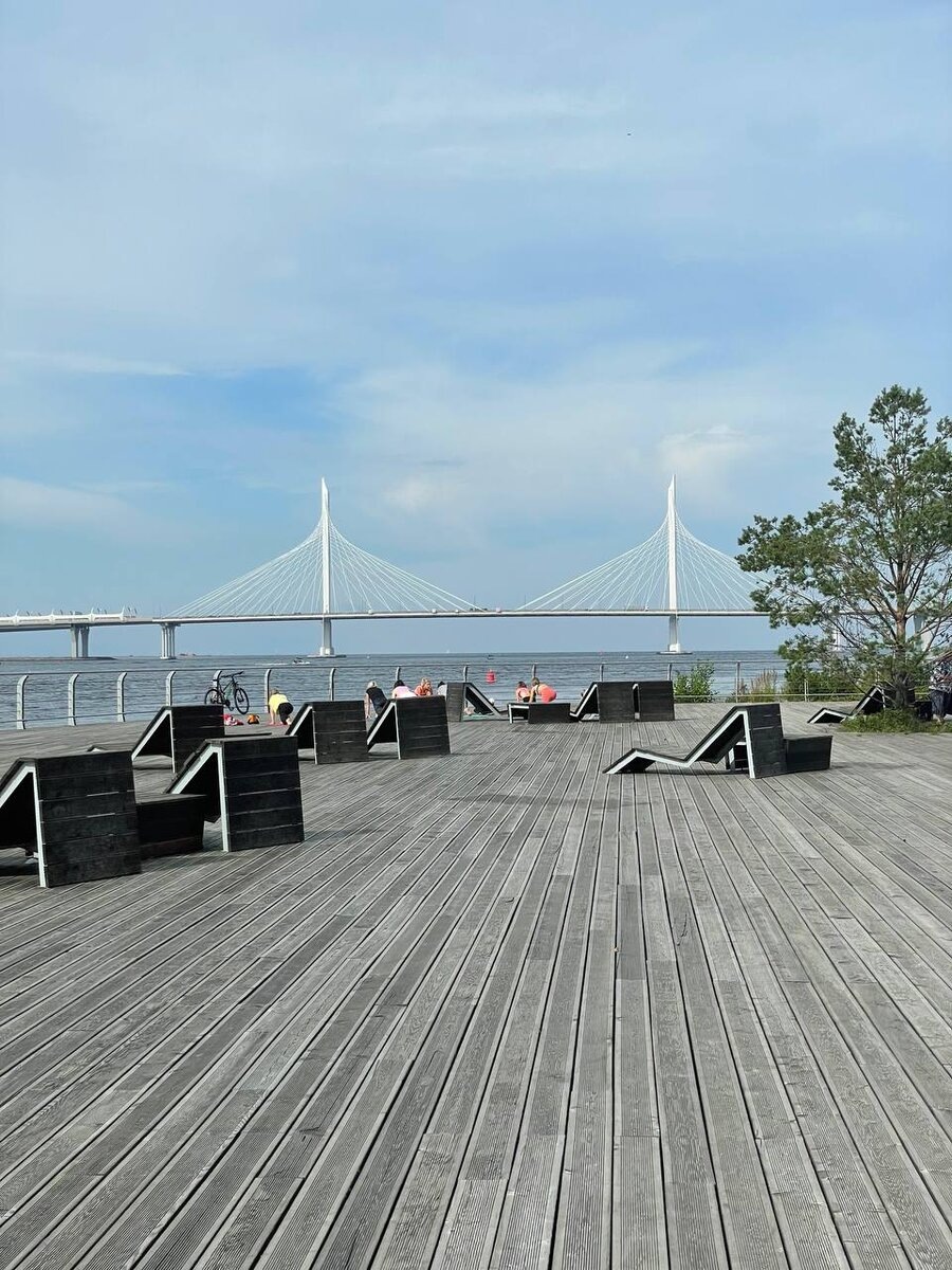 Южная дорога